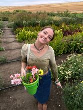 Img 1106 219h