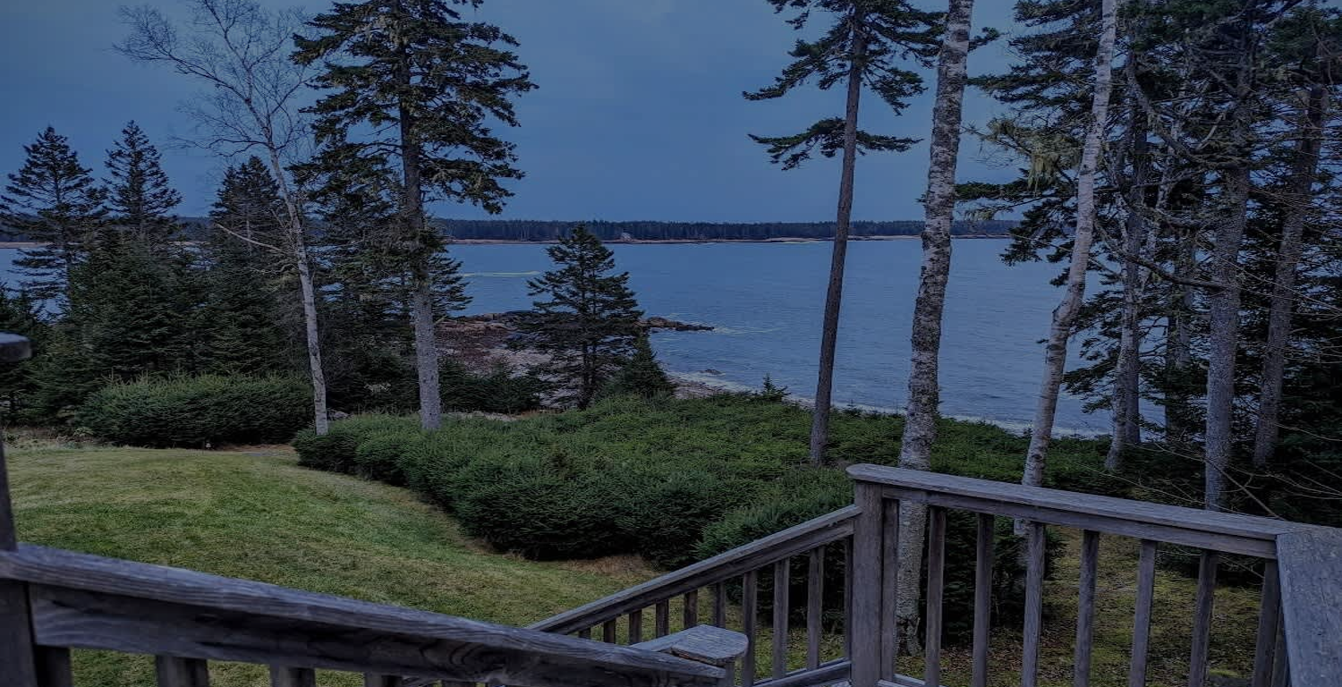 Cropped tinted image 1